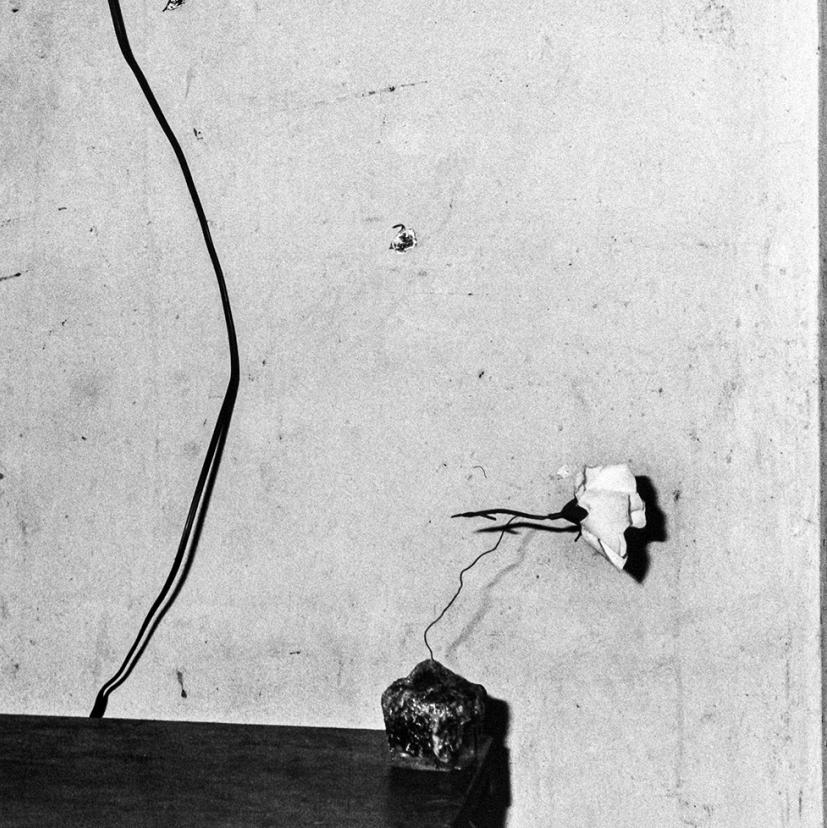 Verlassene Blume - Roger Ballen, Schwarz und Weiß, Inszeniert, Vintage Fotografie im Angebot 4