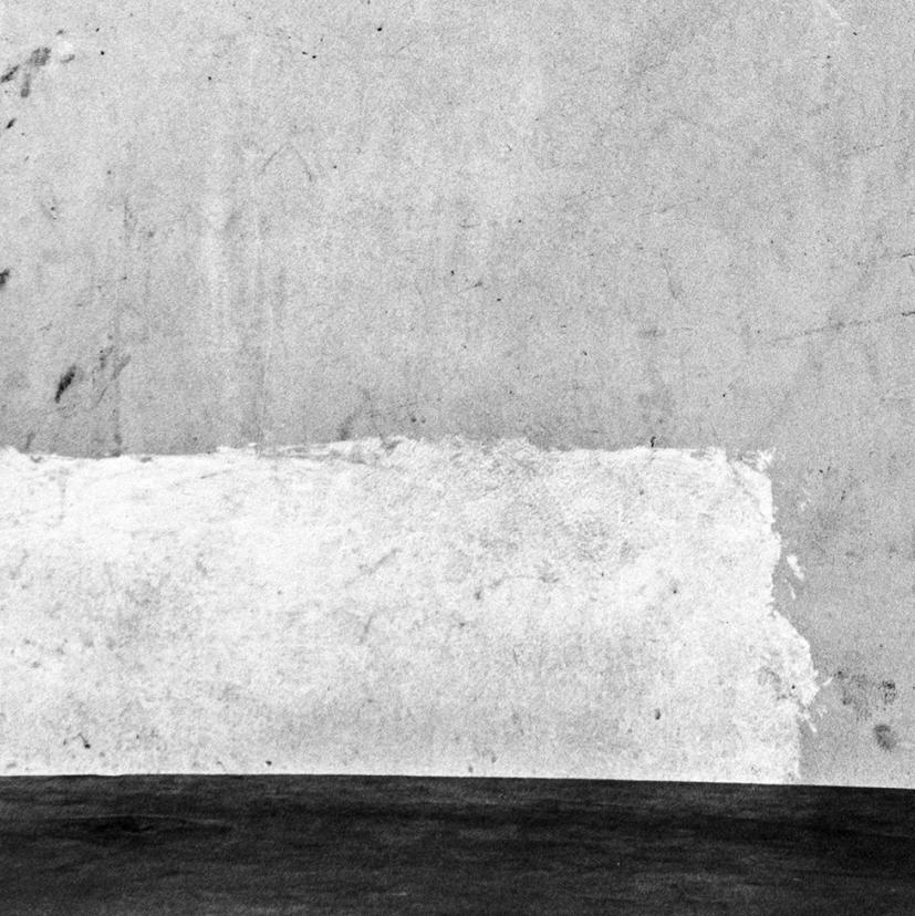 Verlassene Blume - Roger Ballen, Schwarz und Weiß, Inszeniert, Vintage Fotografie im Angebot 5