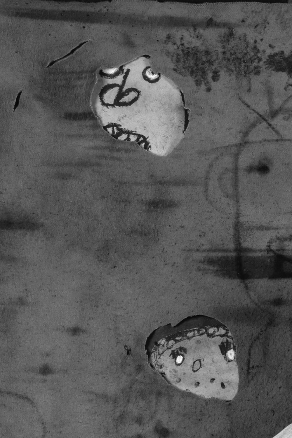 Imbustato - Roger Ballen, Roger The Rat, Bianco e nero, Animali, Fotografia, Arte in vendita 1