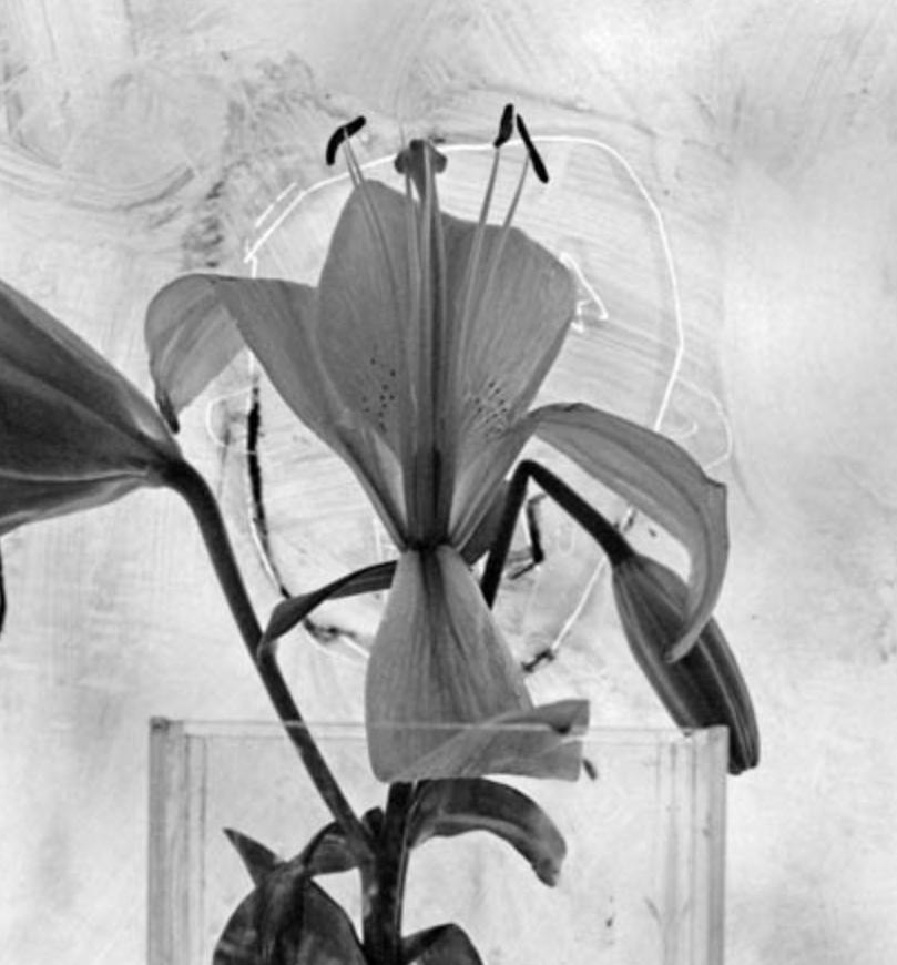 Giggles - Roger Ballen, Bianco e nero, Messa in scena, Vintage, Smiley, Muro, Fiore in vendita 1