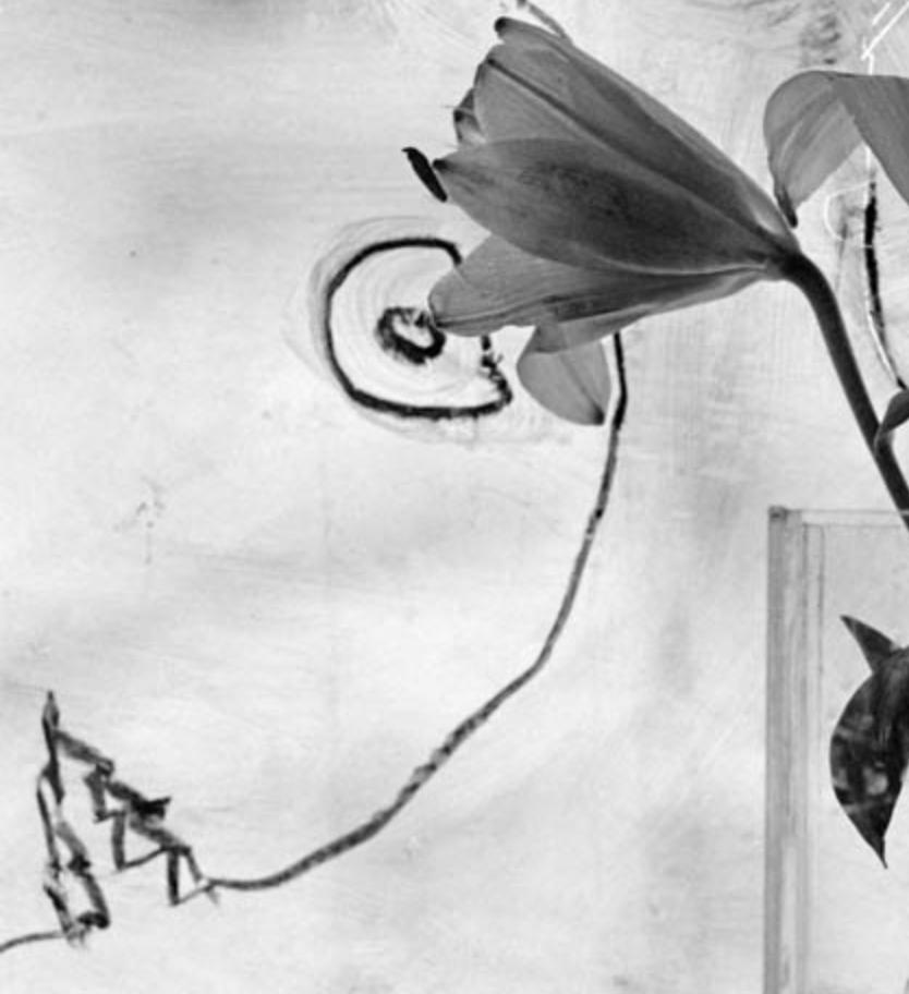 Giggles - Roger Ballen, Bianco e nero, Messa in scena, Vintage, Smiley, Muro, Fiore in vendita 3