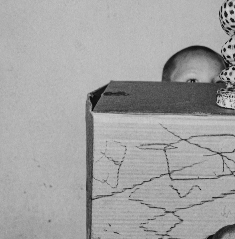 Hide and Seek - Roger Ballen, Bianco e nero, Messa in scena, Fotografia d'epoca, Cane in vendita 4