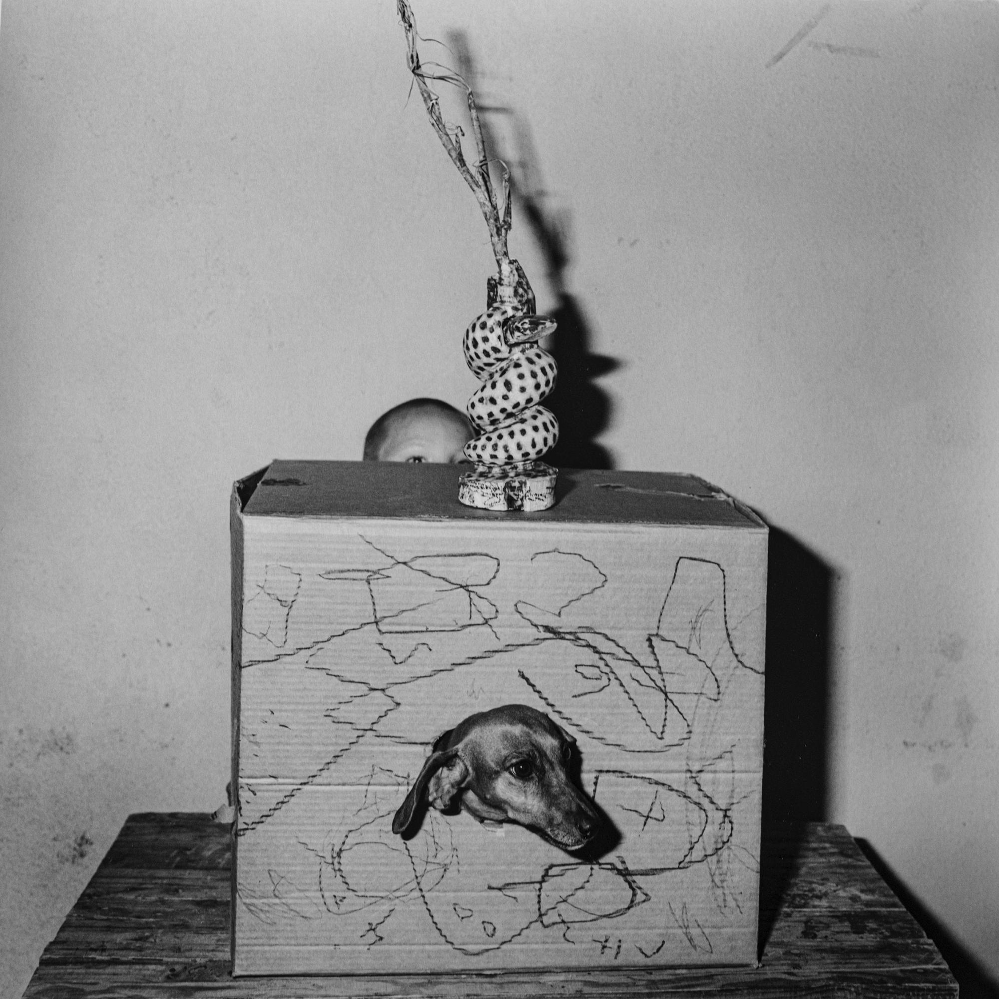 Hide and Seek – Roger Ballen, Black and White, Staged, Vintage Photography, Dog