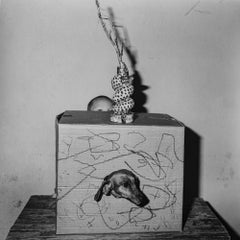 Verstecken und Suchen - Roger Ballen, Schwarz-Weiß, Inszeniert, Vintage Fotografie, Hund