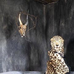 Leopard Lady – Roger Ballen, Color, Human, Staged, Animal, Photography