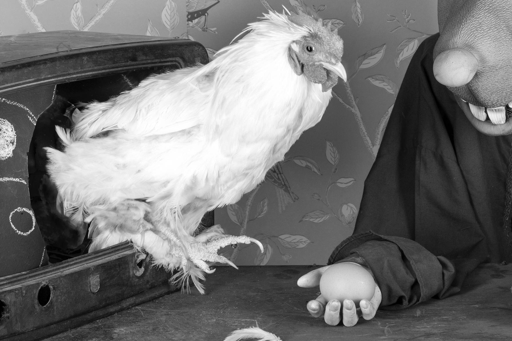 Adescato - Roger Ballen, Roger The Rat, Bianco e nero, Animali, Fotografia, Arte in vendita 1