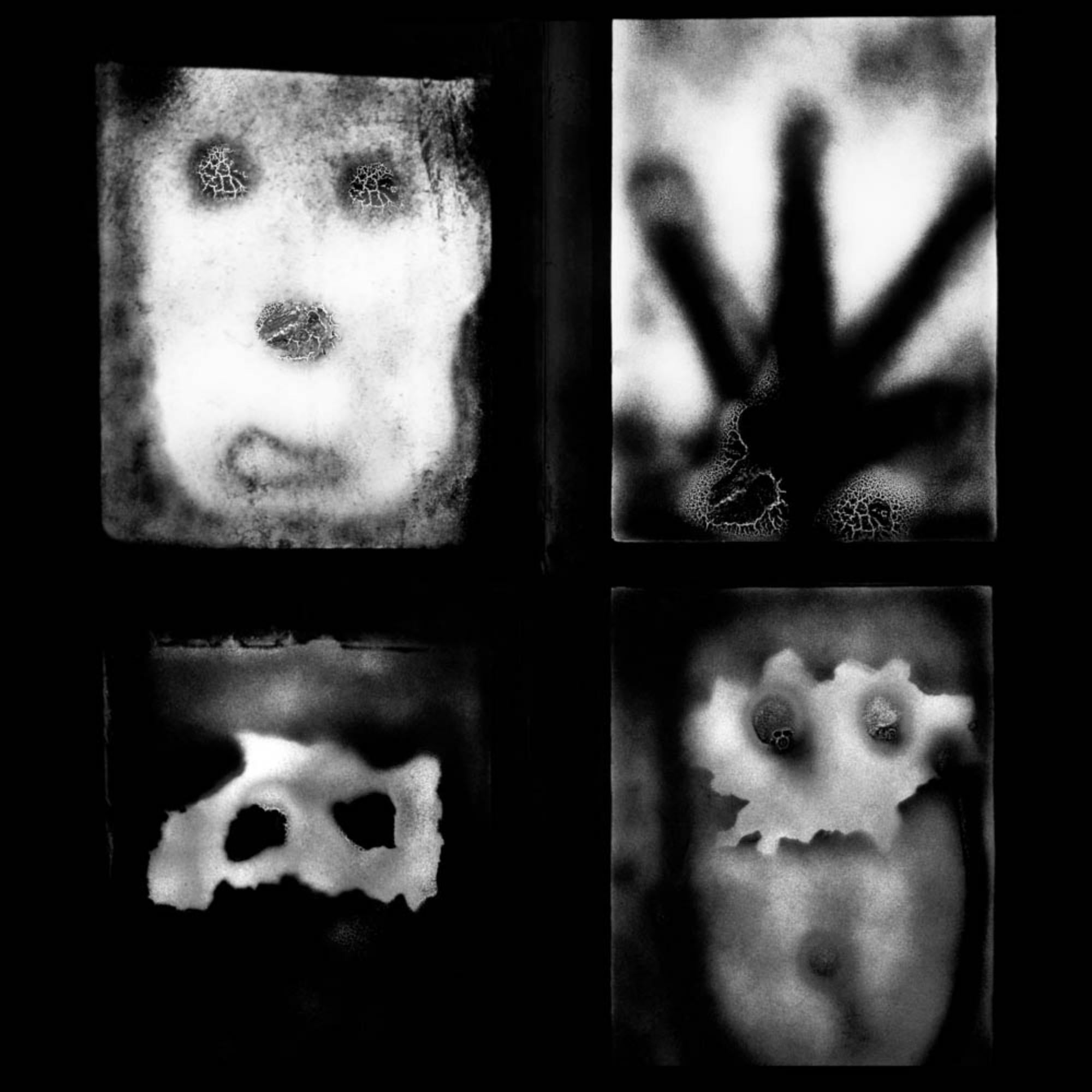 Roger Ballen
Manifestation, de la série "The Theatre of Apparitions", 2007
Caisson lumineux Texflex simple face, revêtement époxy noir ferro
Boîte à lumière 100 x 100 x 9 cm (39 3/8 x 39 3/8 x 3 1/2 in.)
Édition de 3 (#1/3)

Tous les caissons