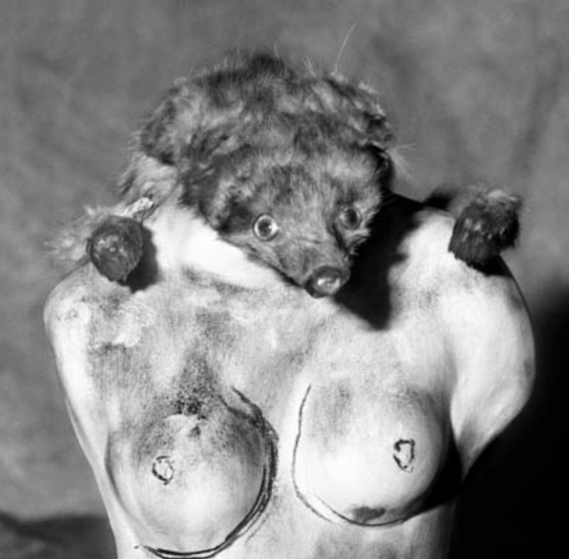Metamorphosis – Roger Ballen, Black and White, Staged, Vintage, Nude, Animal For Sale 1