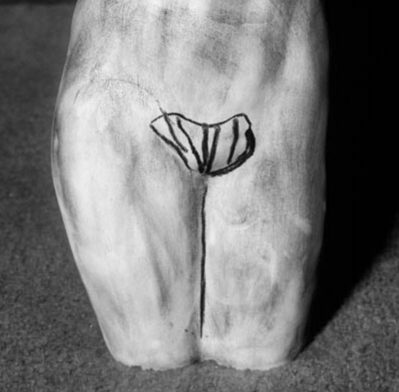Metamorfosi - Roger Ballen, Bianco e nero, Messa in scena, Vintage, Nudo, Animale in vendita 2