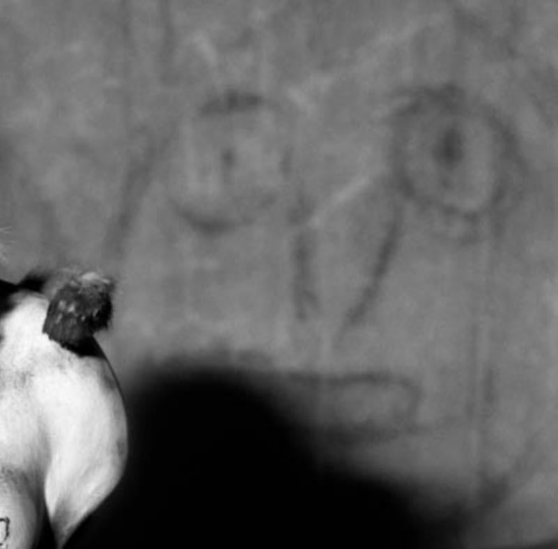 Metamorfosi - Roger Ballen, Bianco e nero, Messa in scena, Vintage, Nudo, Animale in vendita 3