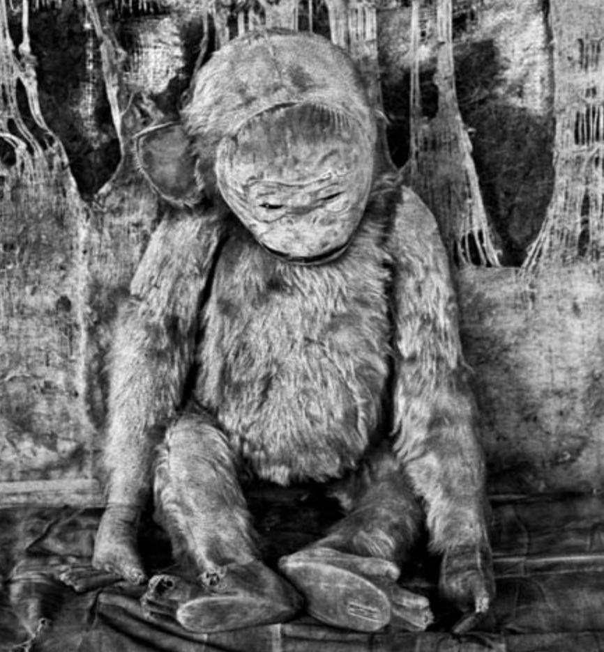 Pathos - Roger Ballen, Bianco e nero, Messa in scena, Fotografia d'epoca, Scimmia in vendita 1