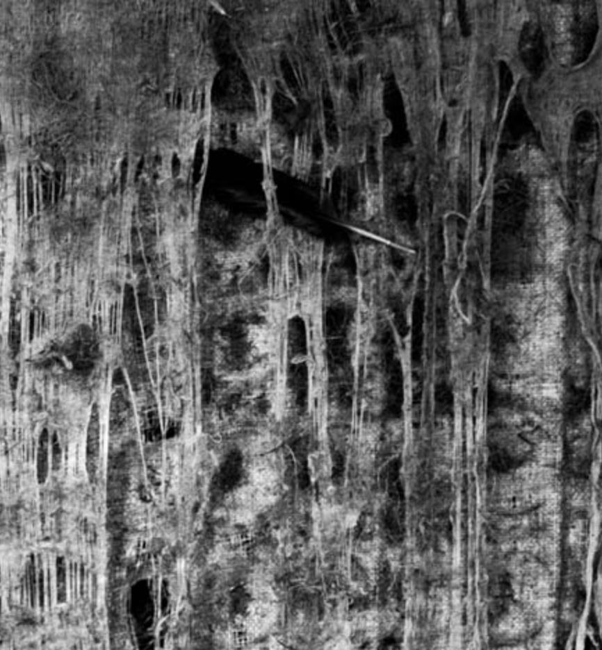 Pathos - Roger Ballen, Bianco e nero, Messa in scena, Fotografia d'epoca, Scimmia in vendita 2
