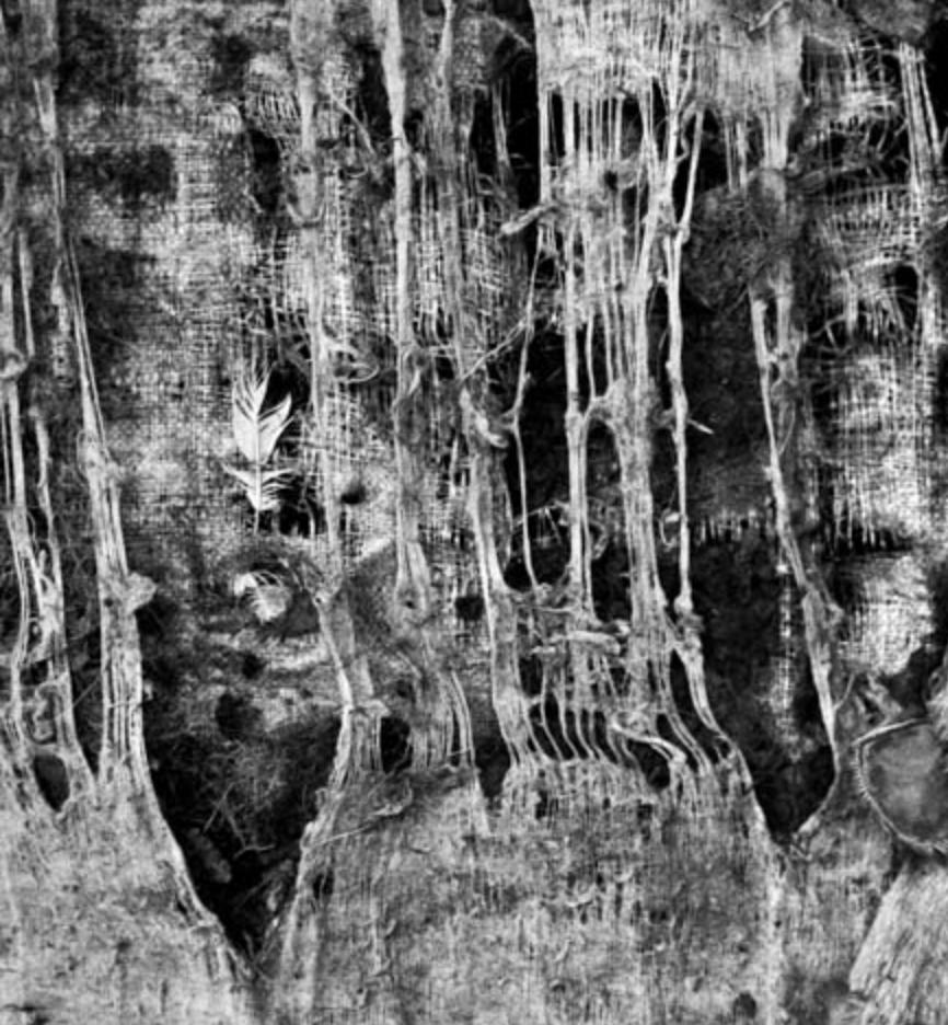 Pathos - Roger Ballen, Bianco e nero, Messa in scena, Fotografia d'epoca, Scimmia in vendita 3