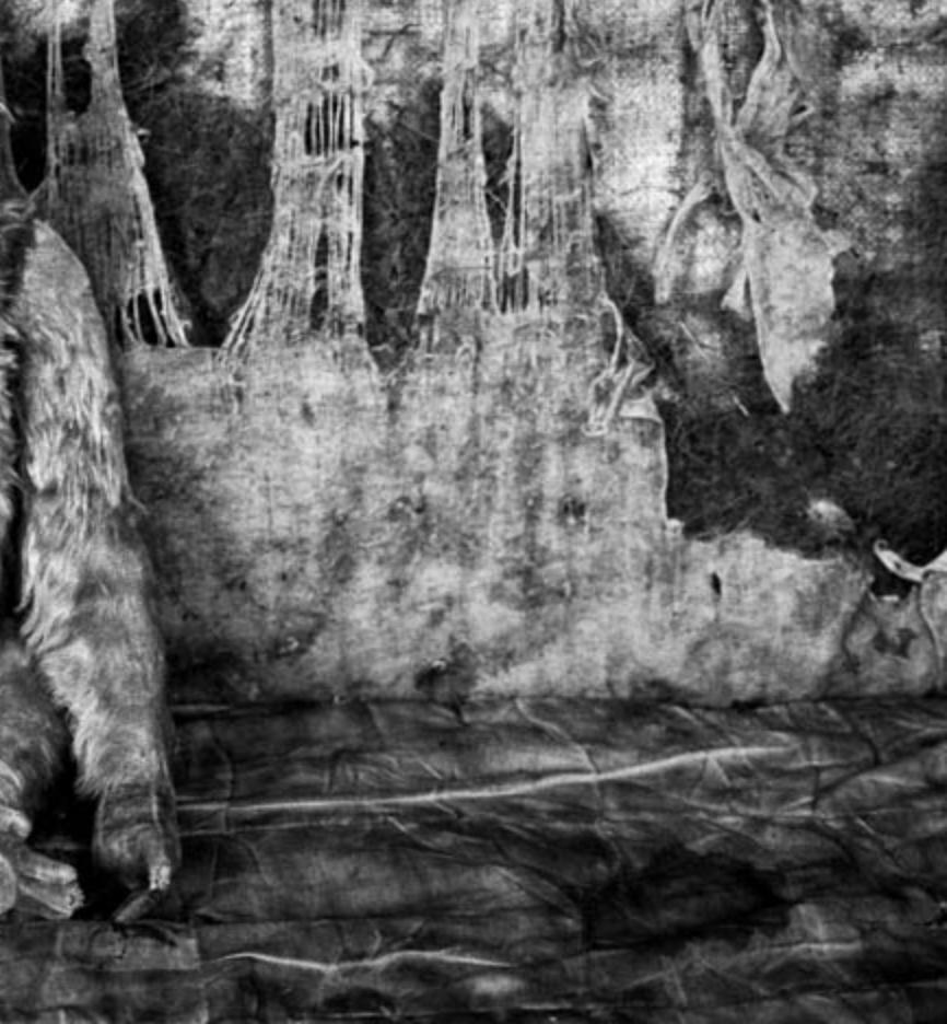 Pathos - Roger Ballen, Bianco e nero, Messa in scena, Fotografia d'epoca, Scimmia in vendita 4