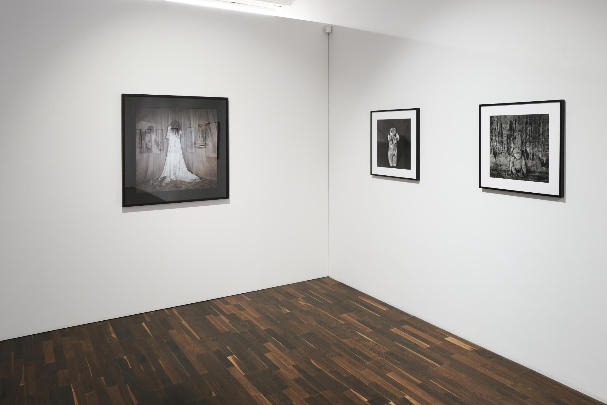 Pathos - Roger Ballen, Bianco e nero, Messa in scena, Fotografia d'epoca, Scimmia in vendita 5