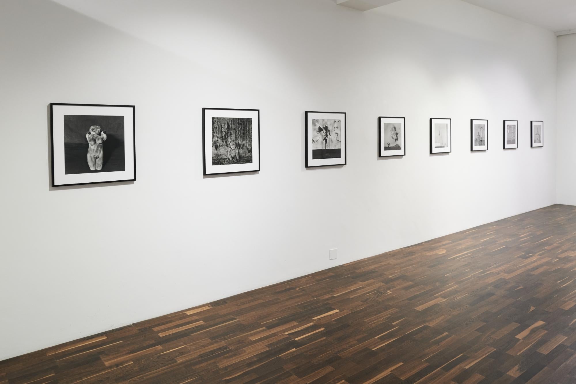 Pathos - Roger Ballen, Bianco e nero, Messa in scena, Fotografia d'epoca, Scimmia in vendita 6