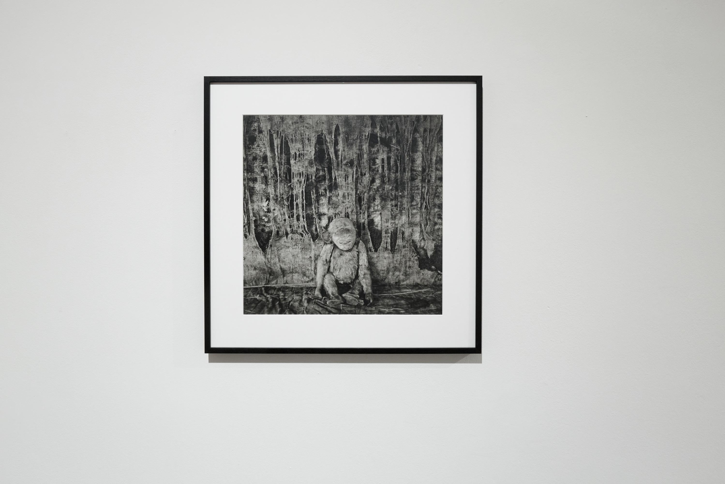Pathos - Roger Ballen, Bianco e nero, Messa in scena, Fotografia d'epoca, Scimmia in vendita 7