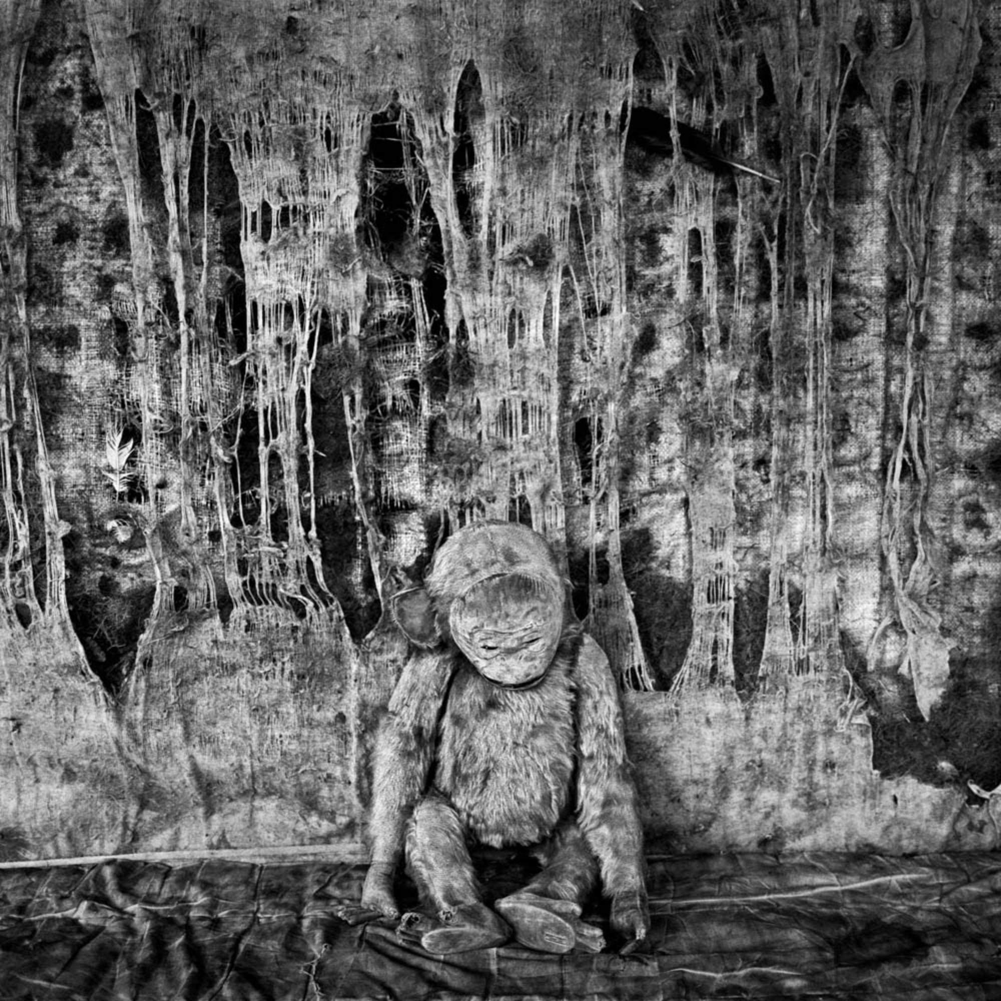 Pathos – Roger Ballen, Black and White, Staged, Vintage Photography, Monkey