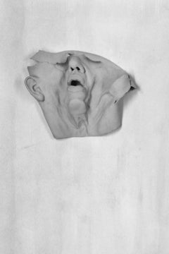 Revealed Roger Ballen, Roger Der Ratten, Schwarz-Weiß, Tier, Fotografie