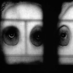Stare - Roger Ballen, noir et blanc, mise en scène, Lightbox, Biennale de Venise