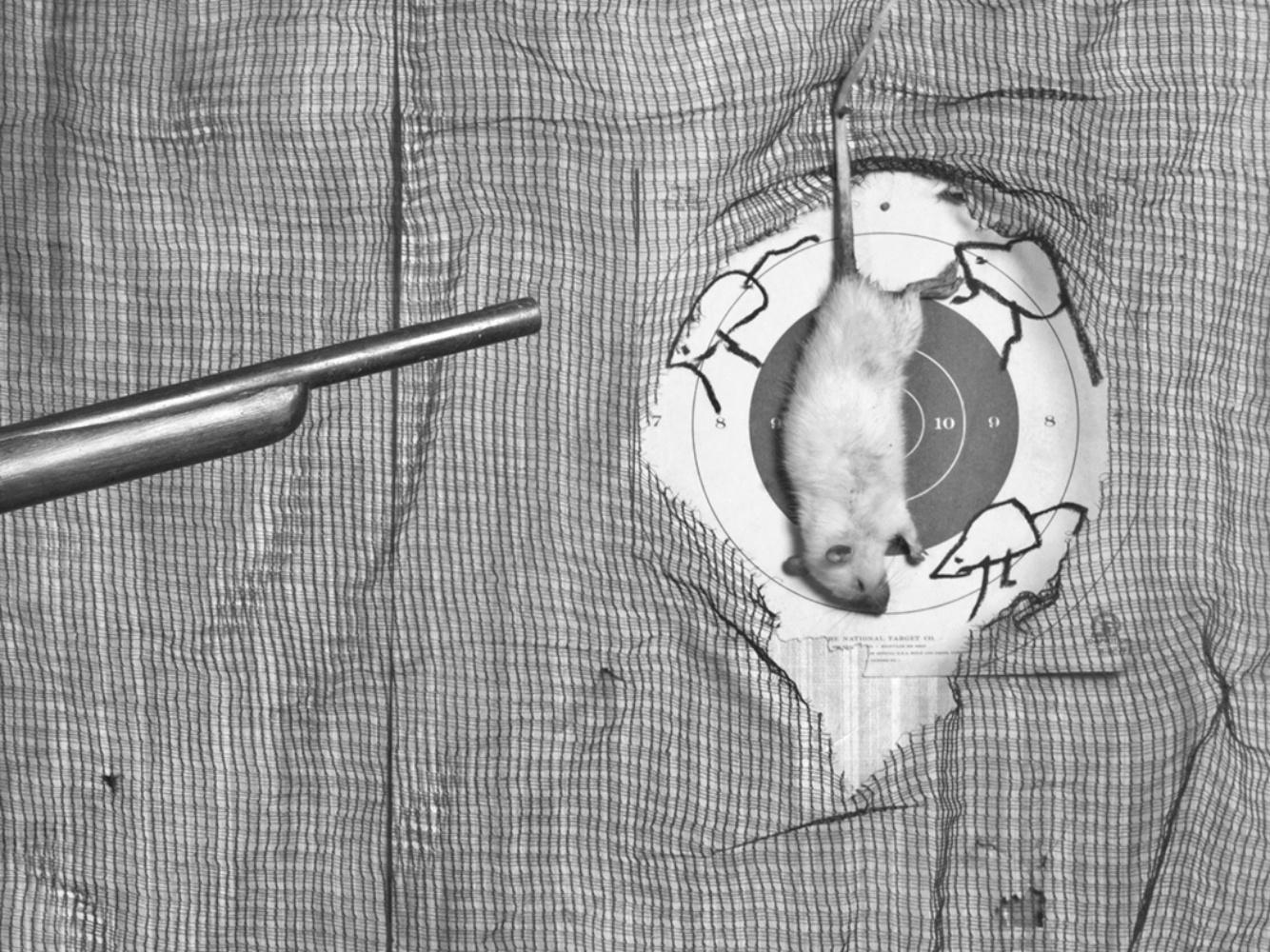 Roger BALLEN (*1950, America/South Africa)
Targeting, 2015
Archival pigment print
43 x 61 cm (16 7/8 x 24 in.)
Edition of 9, plus 2 AP; Ed. no. 2/9
Print only

– Roger the Rat

Surreal, refined, disturbing: Roger Ballen has made a name for himself