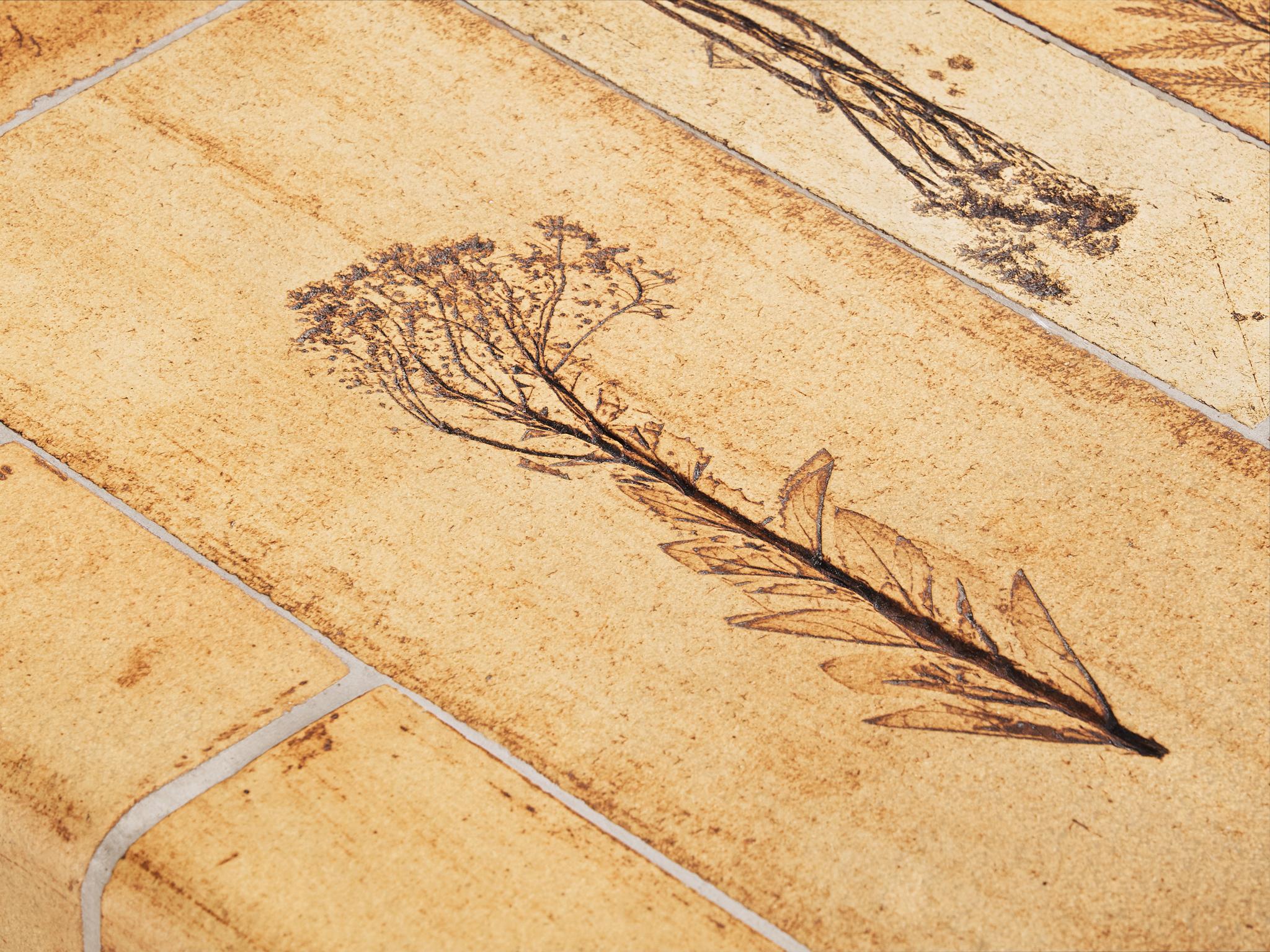 Fin du 20e siècle Roger Capron Table basse avec empreintes de Fauna en céramique et Wood en vente