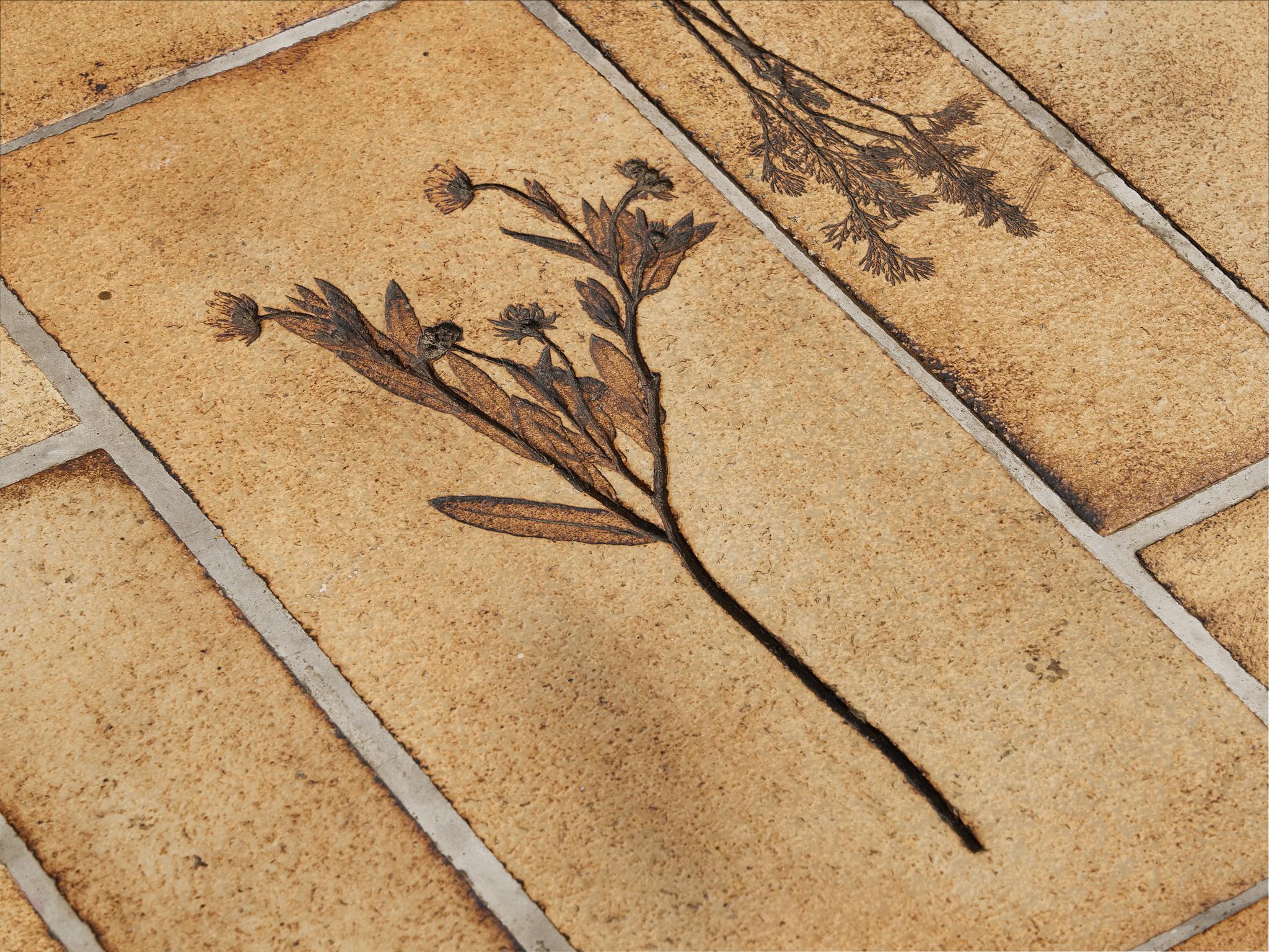 Mesa de centro Roger Capron con impresiones de fauna en cerámica y madera en venta 1