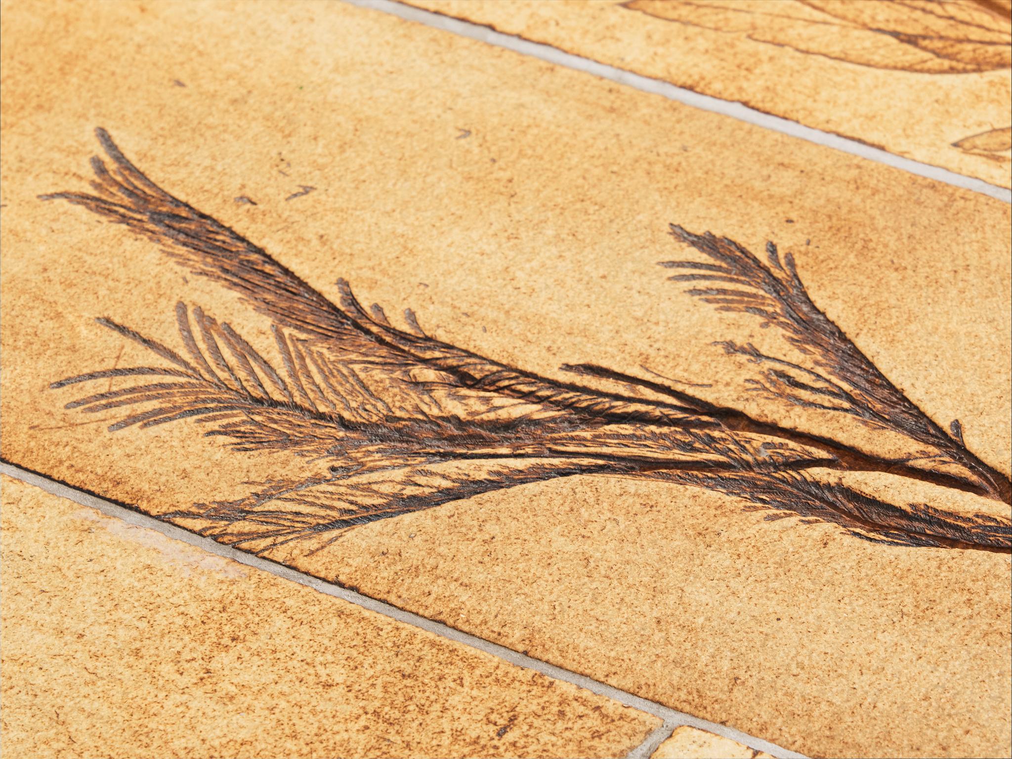 Roger Capron Table basse avec empreintes de Fauna en céramique et Wood en vente 2
