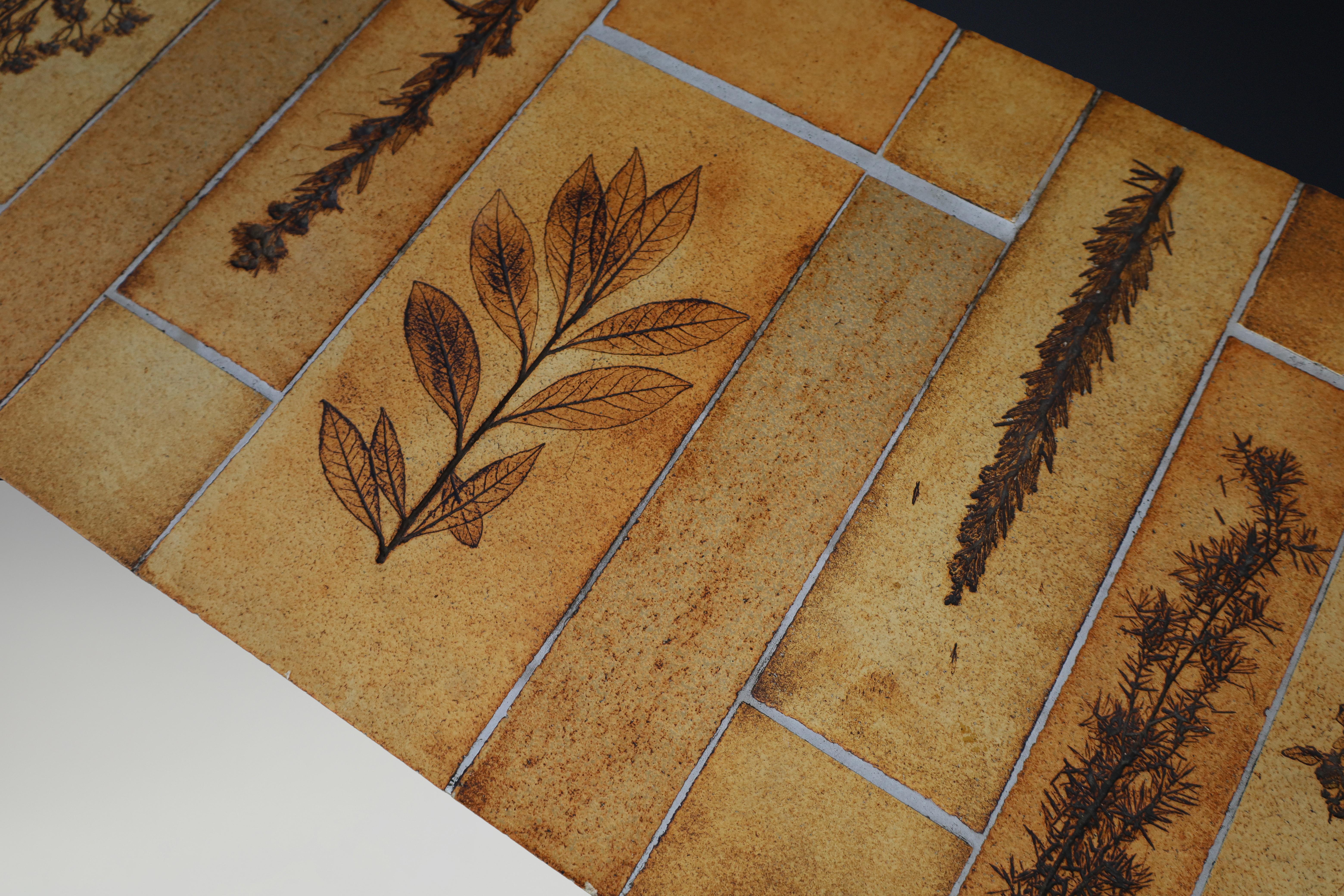 Roger Capron “Garrigue” Coffee Table with Botanical Tiles, France, 1960s For Sale 3