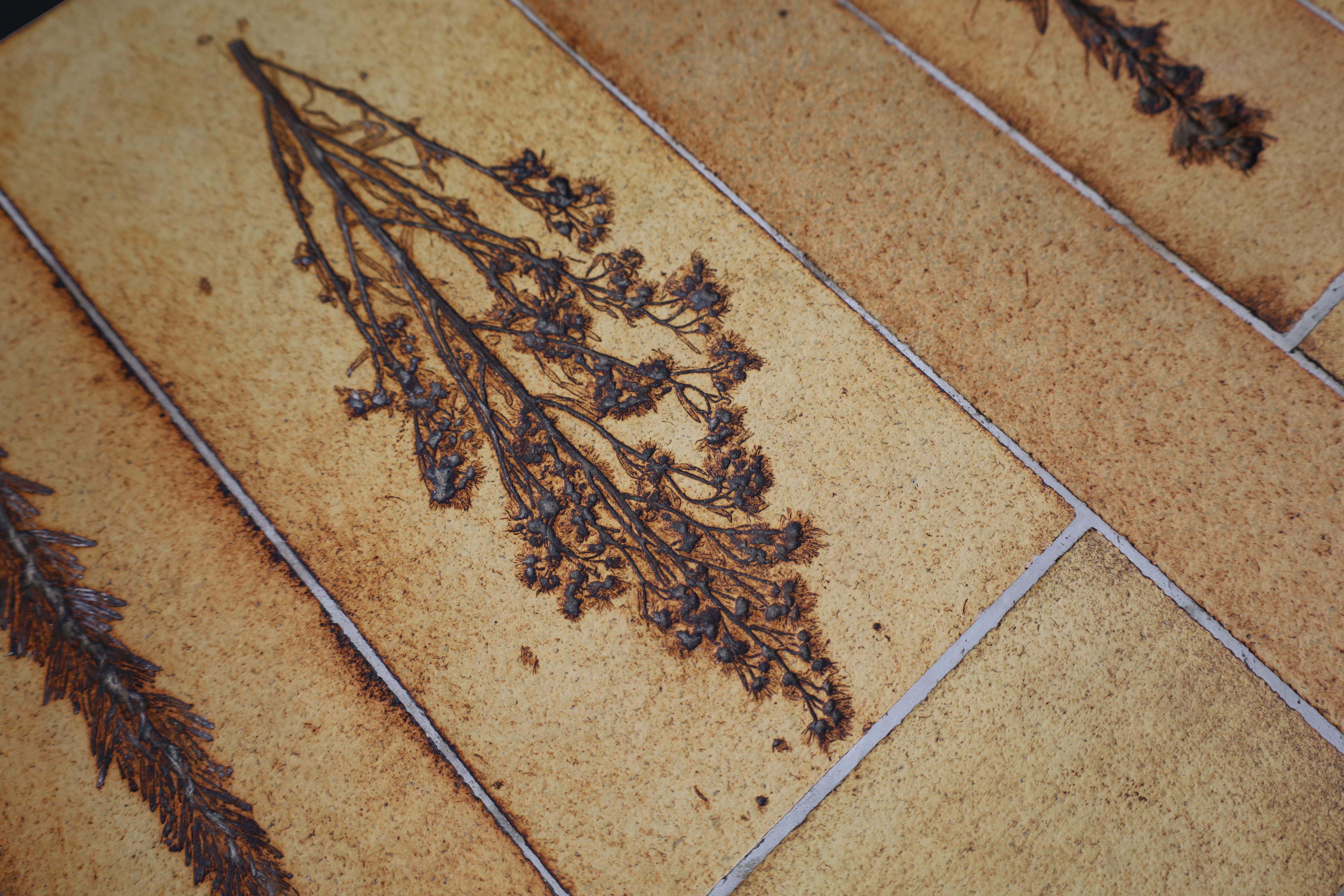 Roger Capron “Garrigue” Coffee Table with Botanical Tiles, France, 1960s For Sale 1