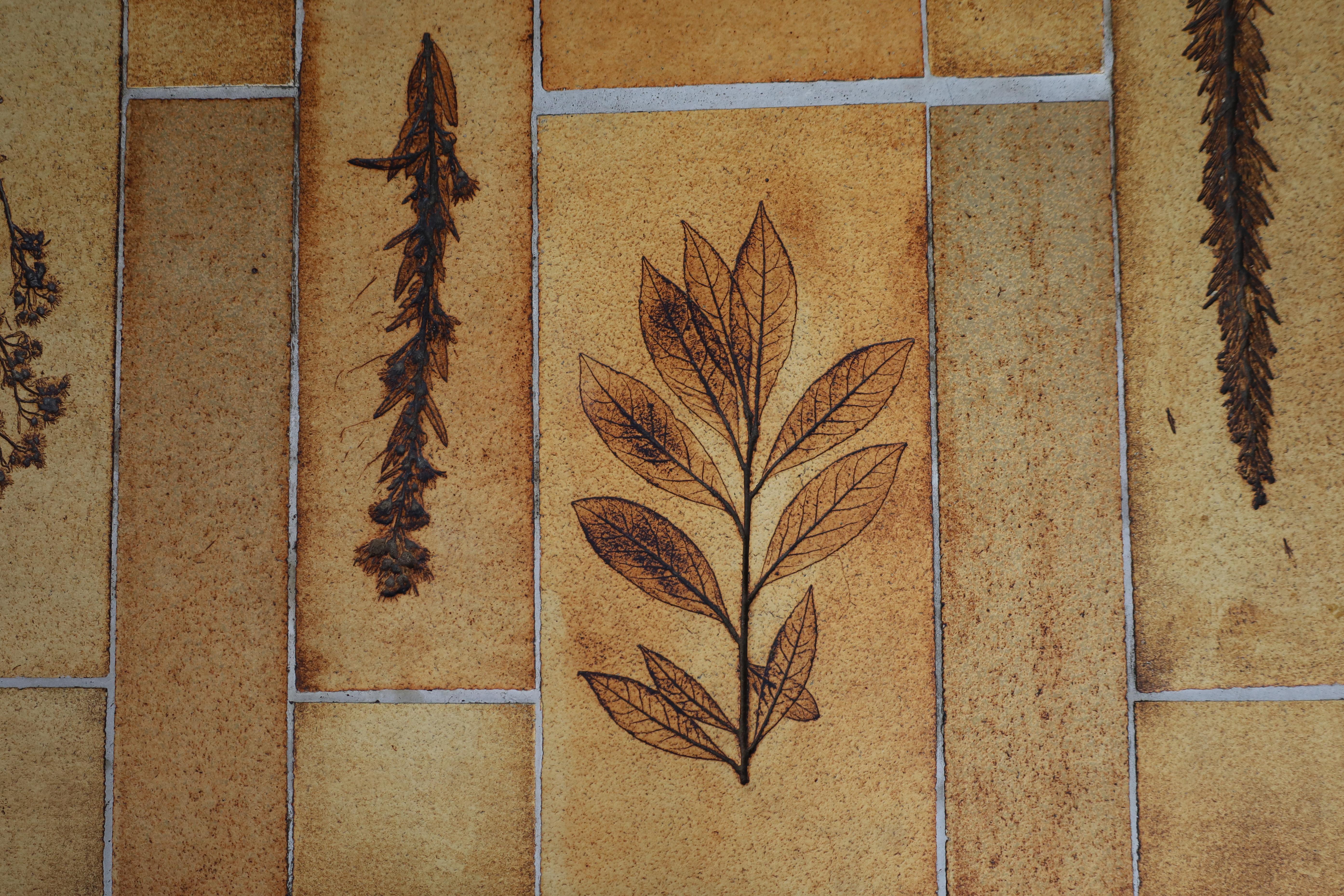 Roger Capron “Garrigue” Coffee Table with Botanical Tiles, France, 1960s For Sale 2