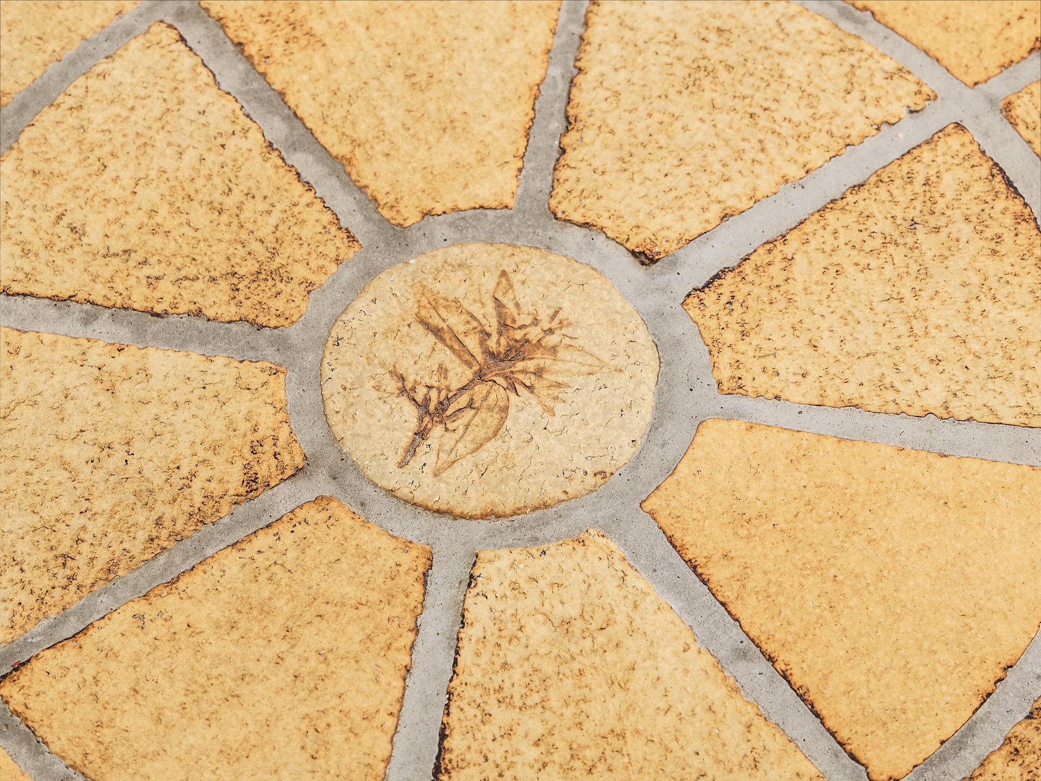 Roger Capron Round Coffee Table with Fauna Imprints in Ceramic and Wood For Sale 3