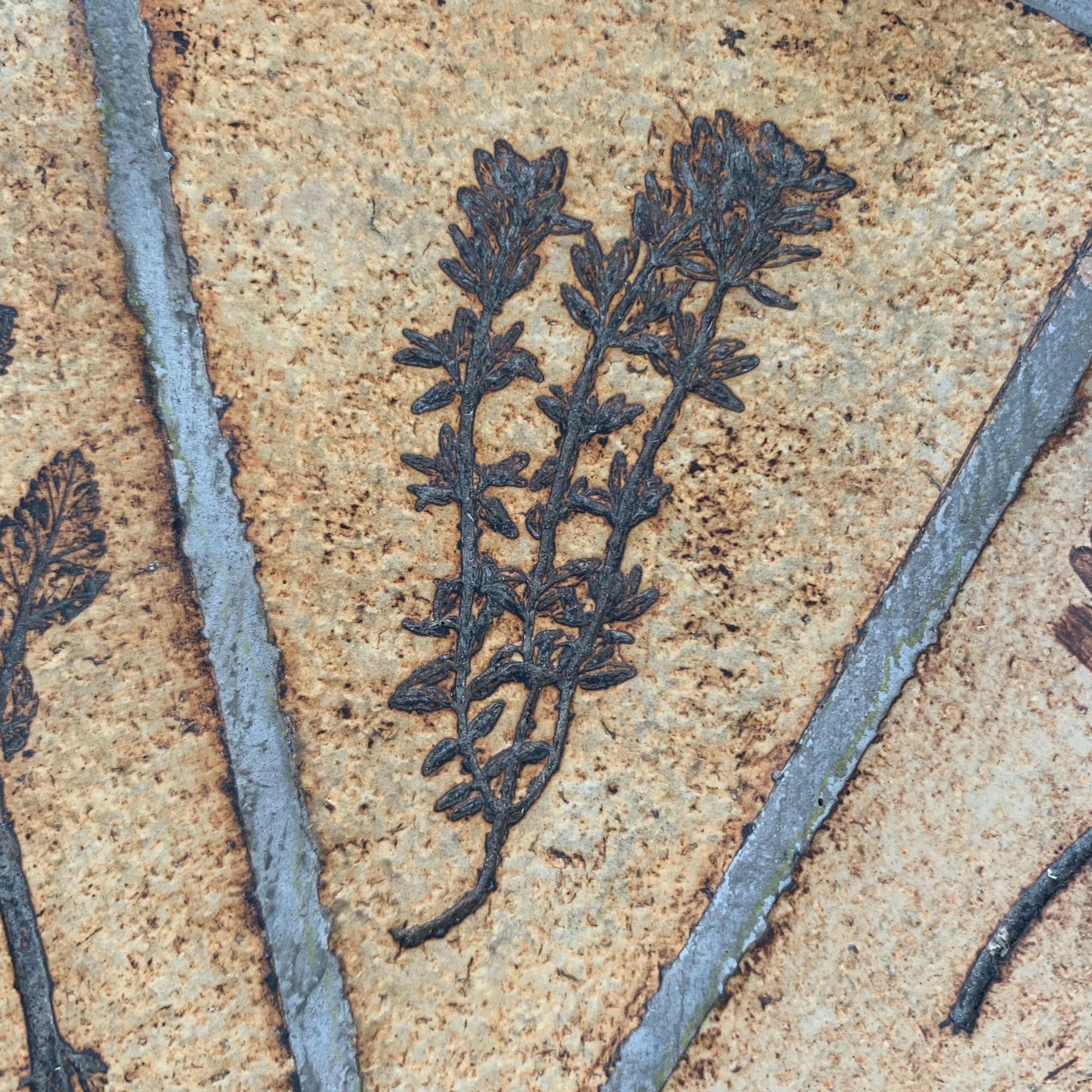 Roger Capron Signed Herbier Ceramic Coffee Table, circa 1965, France. For Sale 7