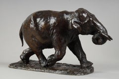 Elephant running with coiled trunk