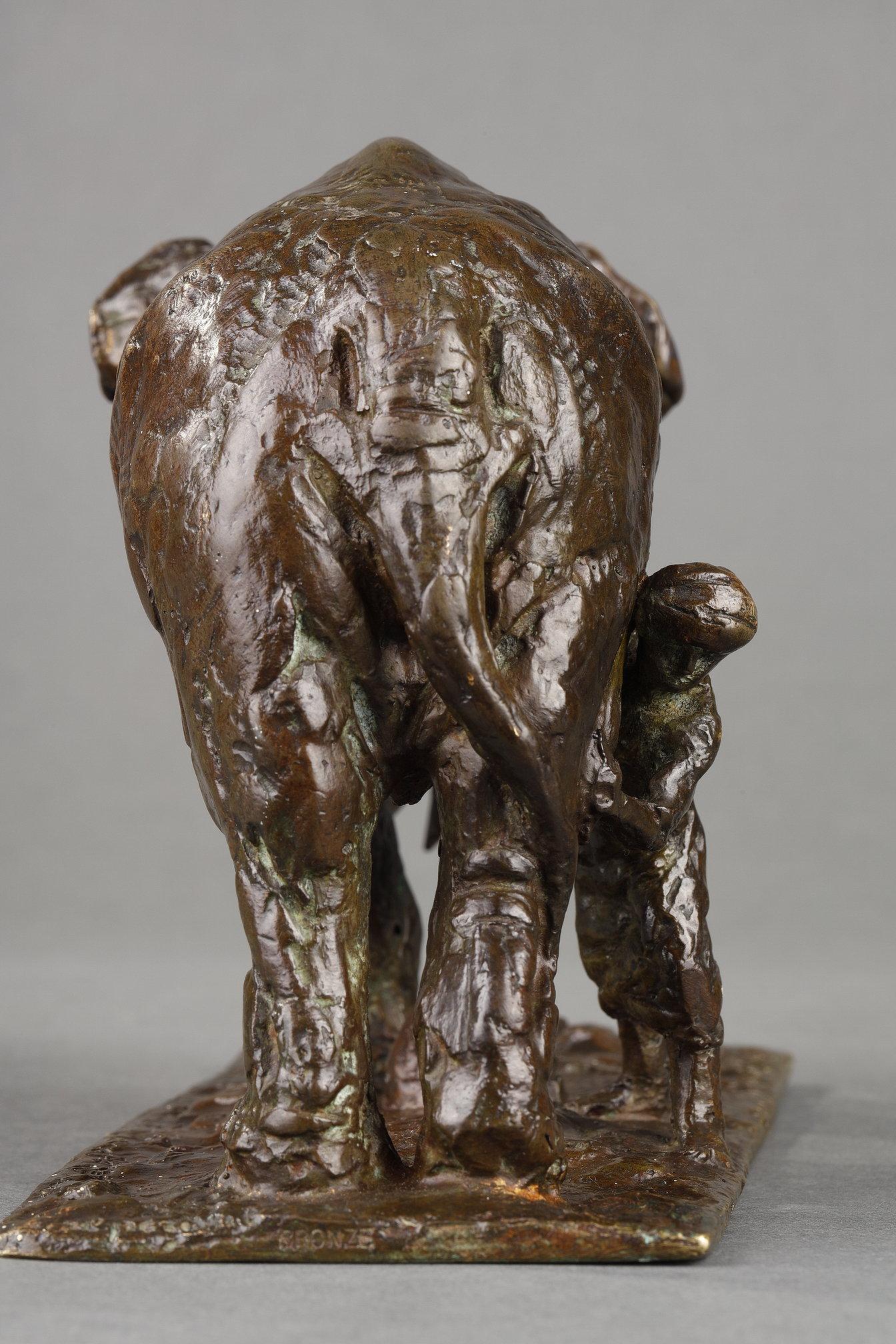 Mahout che lava il suo elefante in vendita 4