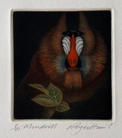 Mandrill