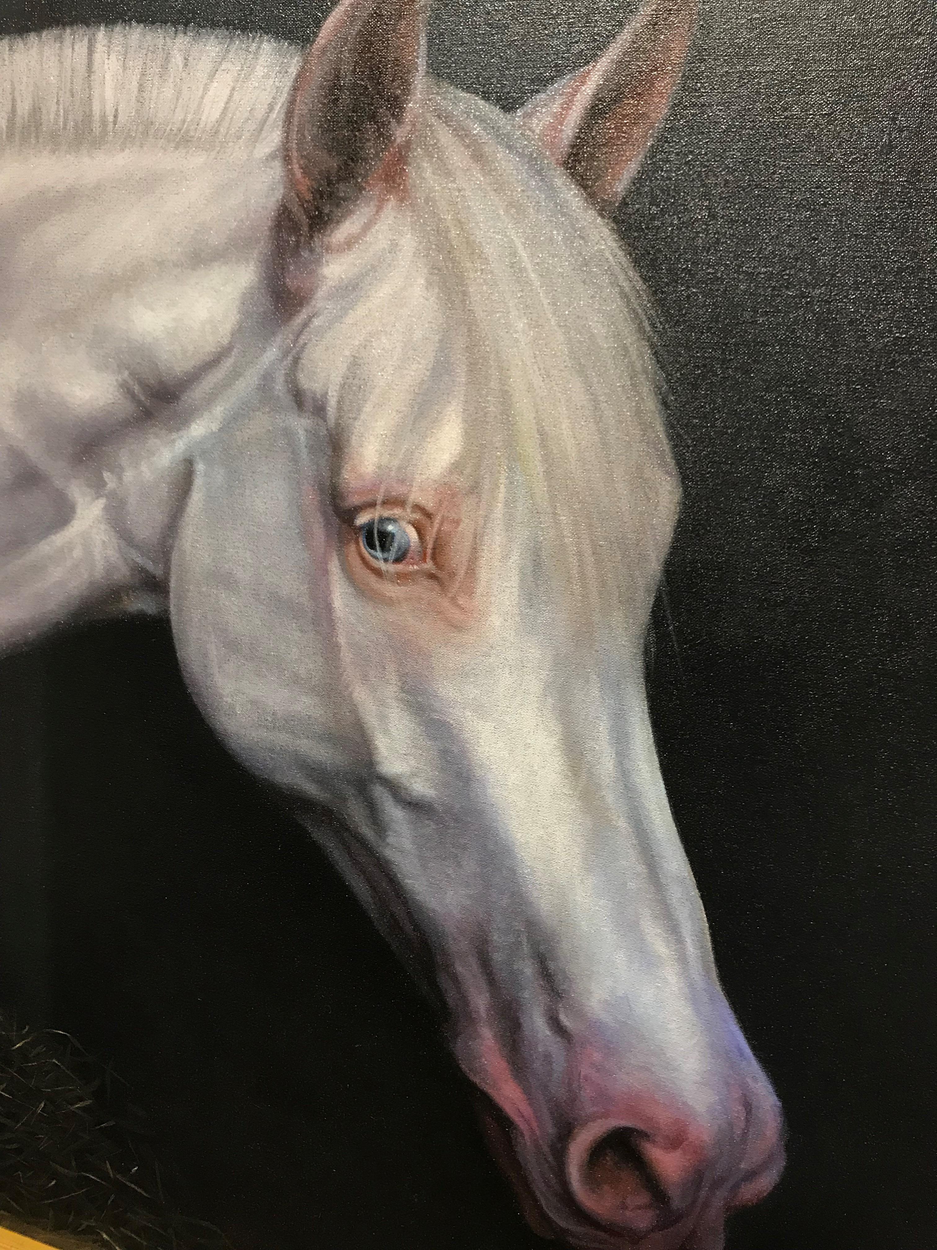 Striking large white horse on black background photoreal portrait 30 x 40  - Painting by Roger Henry