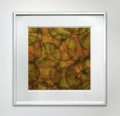 "Spergularia", Pittura astratta