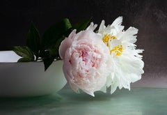 Peonies Seven, Botanical Still Life, White, Pink Peony Flower White Bowl on Dark