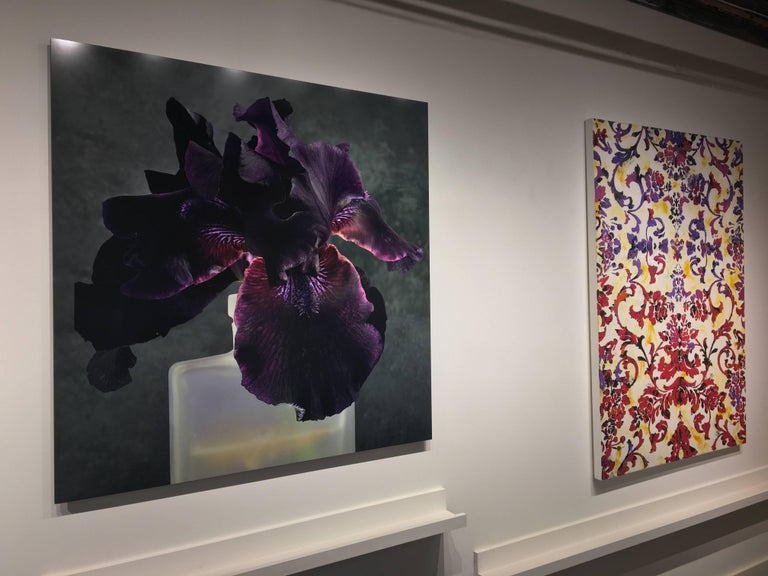 Roger Ricco - Purple Iris Two, Square Still Life Photograph of Dark ...