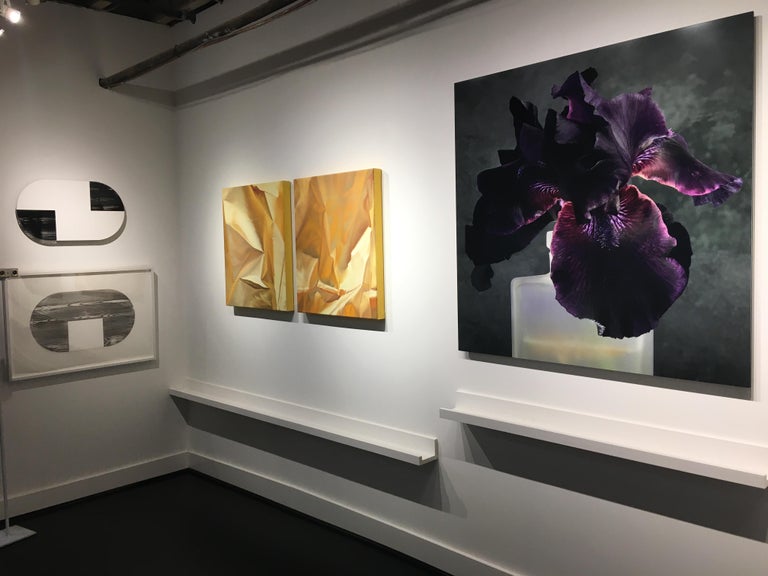 Roger Ricco - Purple Iris Two, Square Still Life Photograph of Dark ...