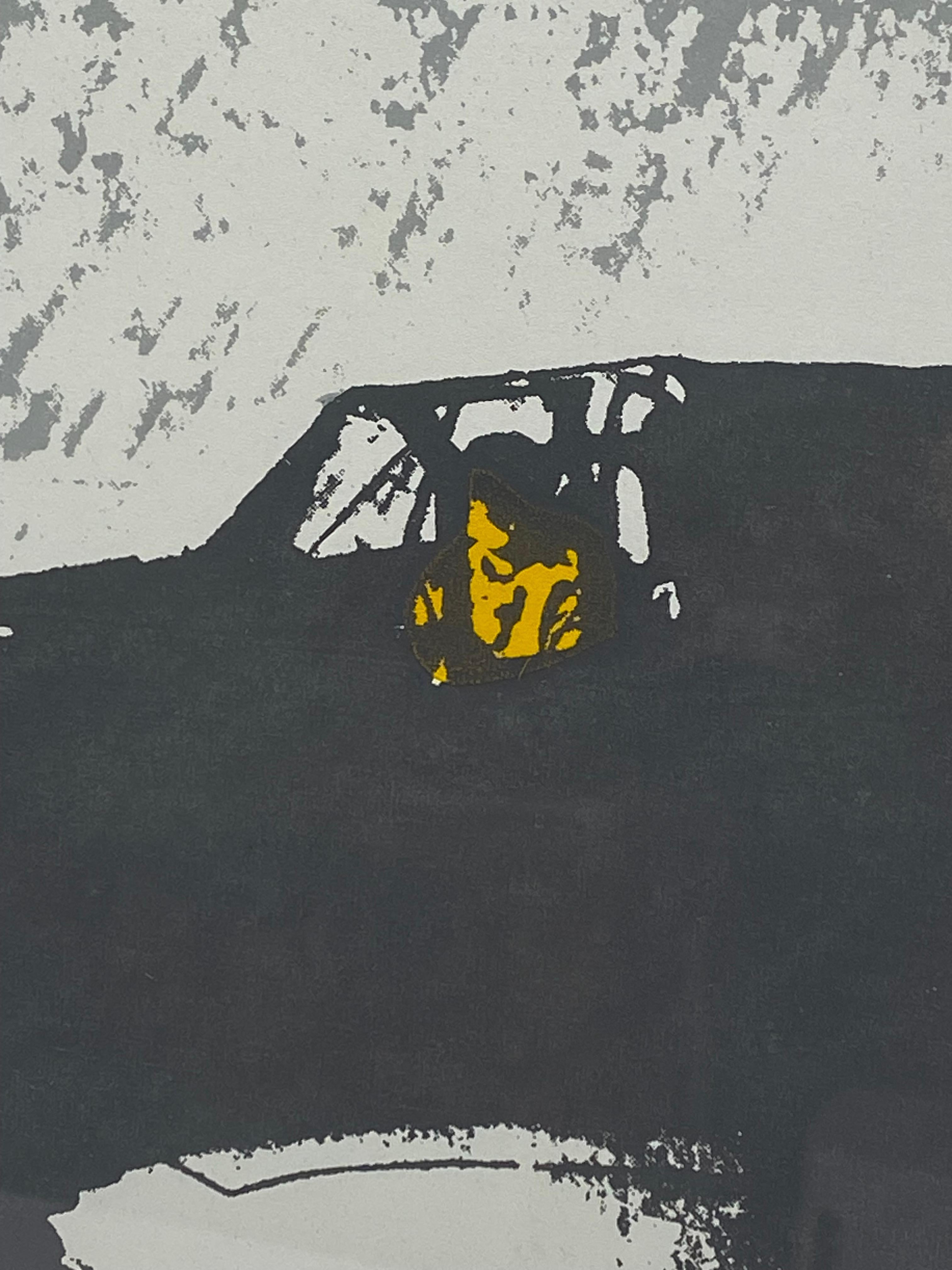 Mid-20th Century Roger Shimomura Curtiss P-40 Lithograph, 1969