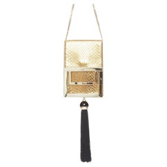 ROGER VIVIER 2017 Boite De Nuitmetallic snake envelope box evening clutch bag