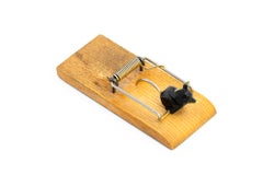 Rohac notes paper holder ( for business Cards ) around 1950s