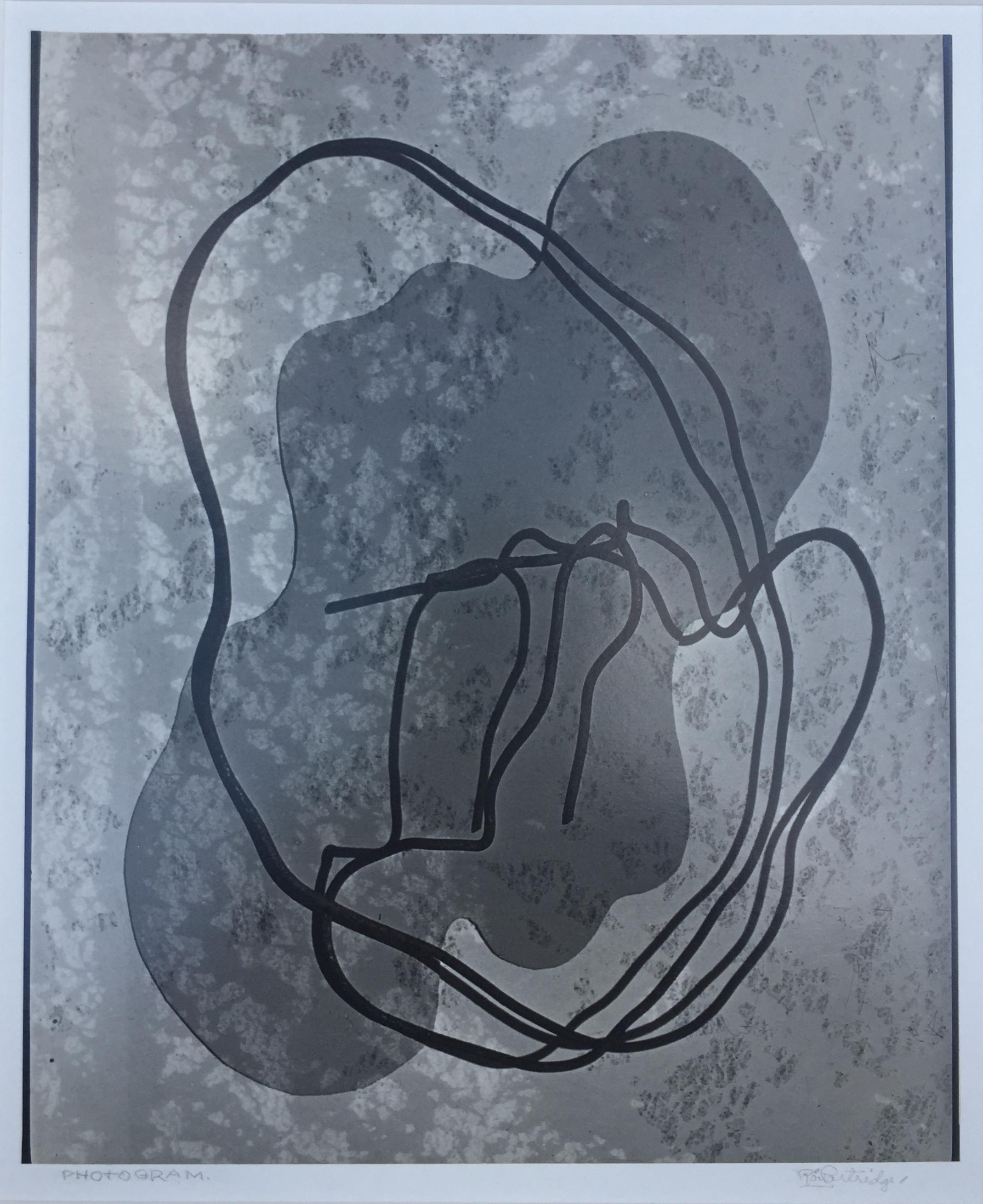 Roi Partridge Abstract Photograph - PHOTOGRAM