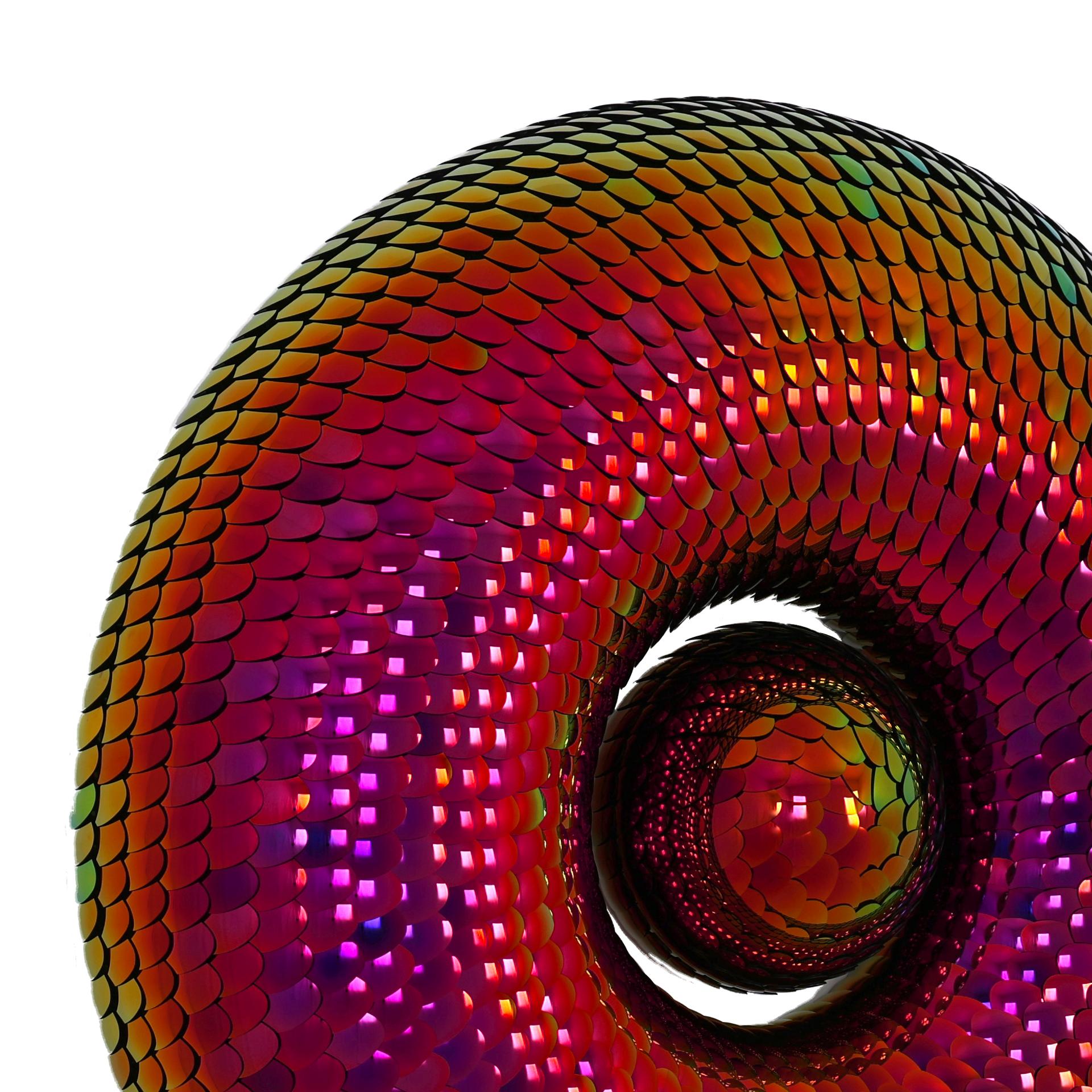 Dutch Mirror Effect Wall Sculpture , Red & Pink Torus,  by Eelco Hilgerson For Sale