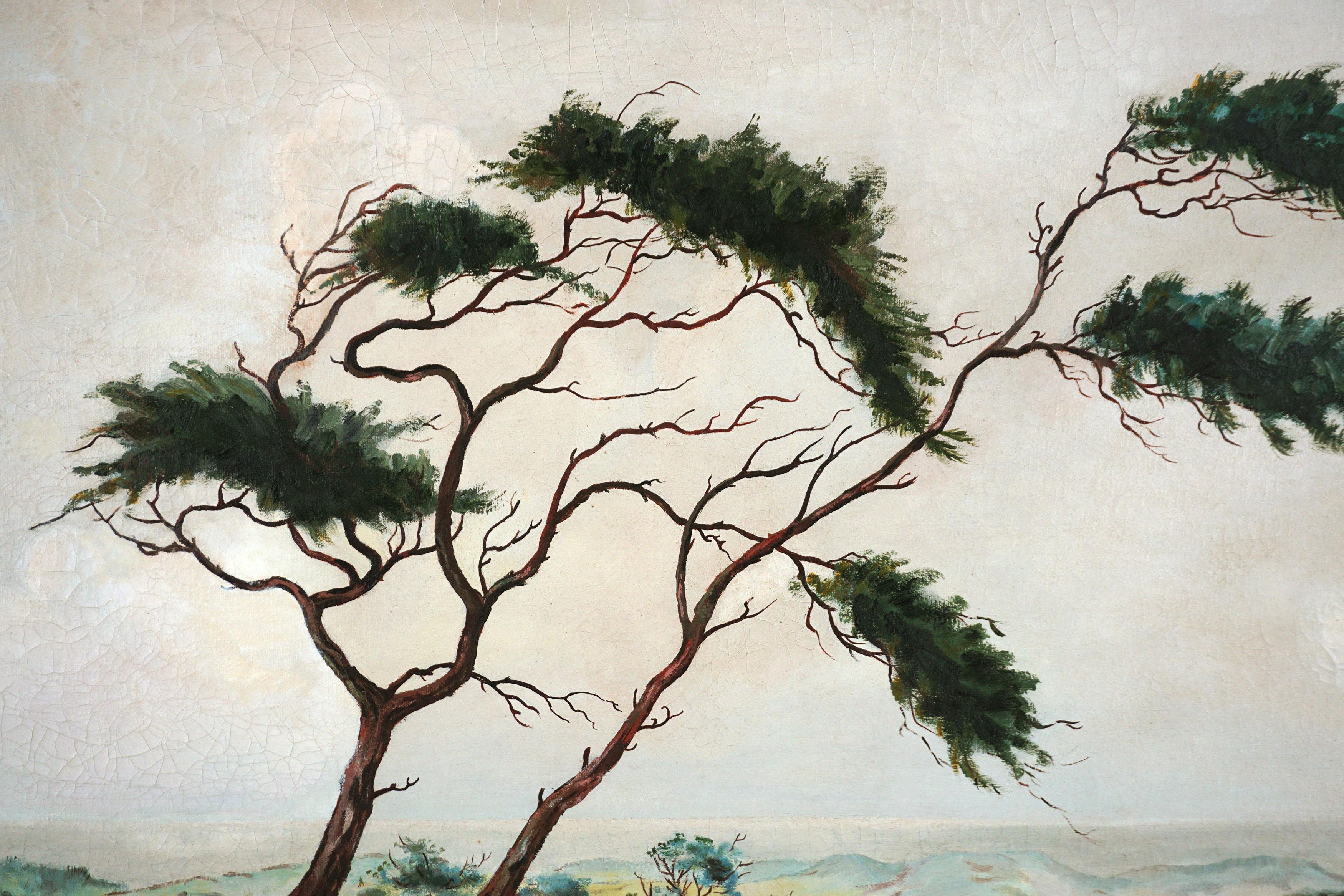 Paysage marin du milieu du siècle - Pine Tree in Dunes - Painting de Roland Bach