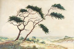 Mid Century Seascape -- Pine Tree in Dunes