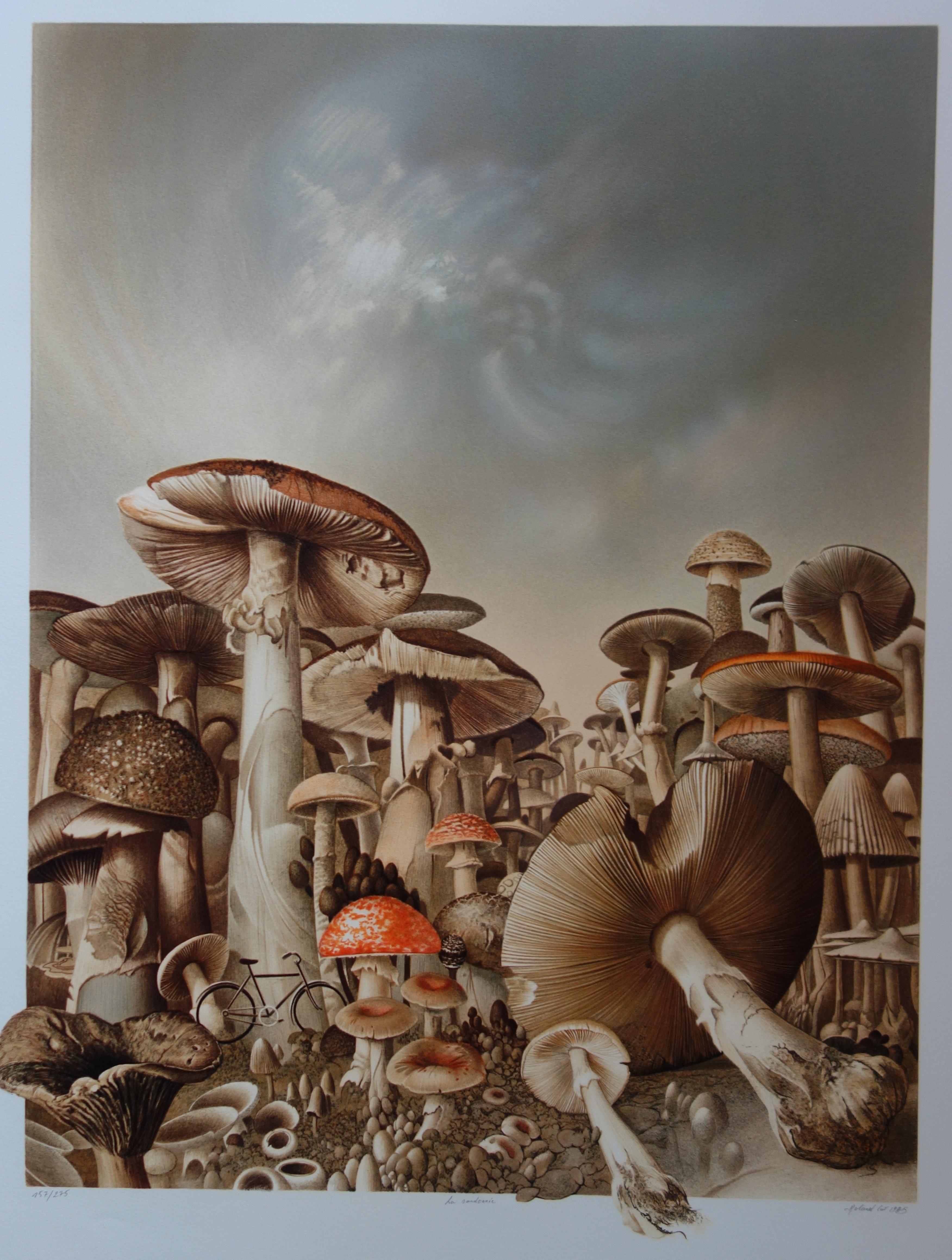 Bicycles and Mushrooms - Original handsigned lithograph - Realist Print by Roland Cat