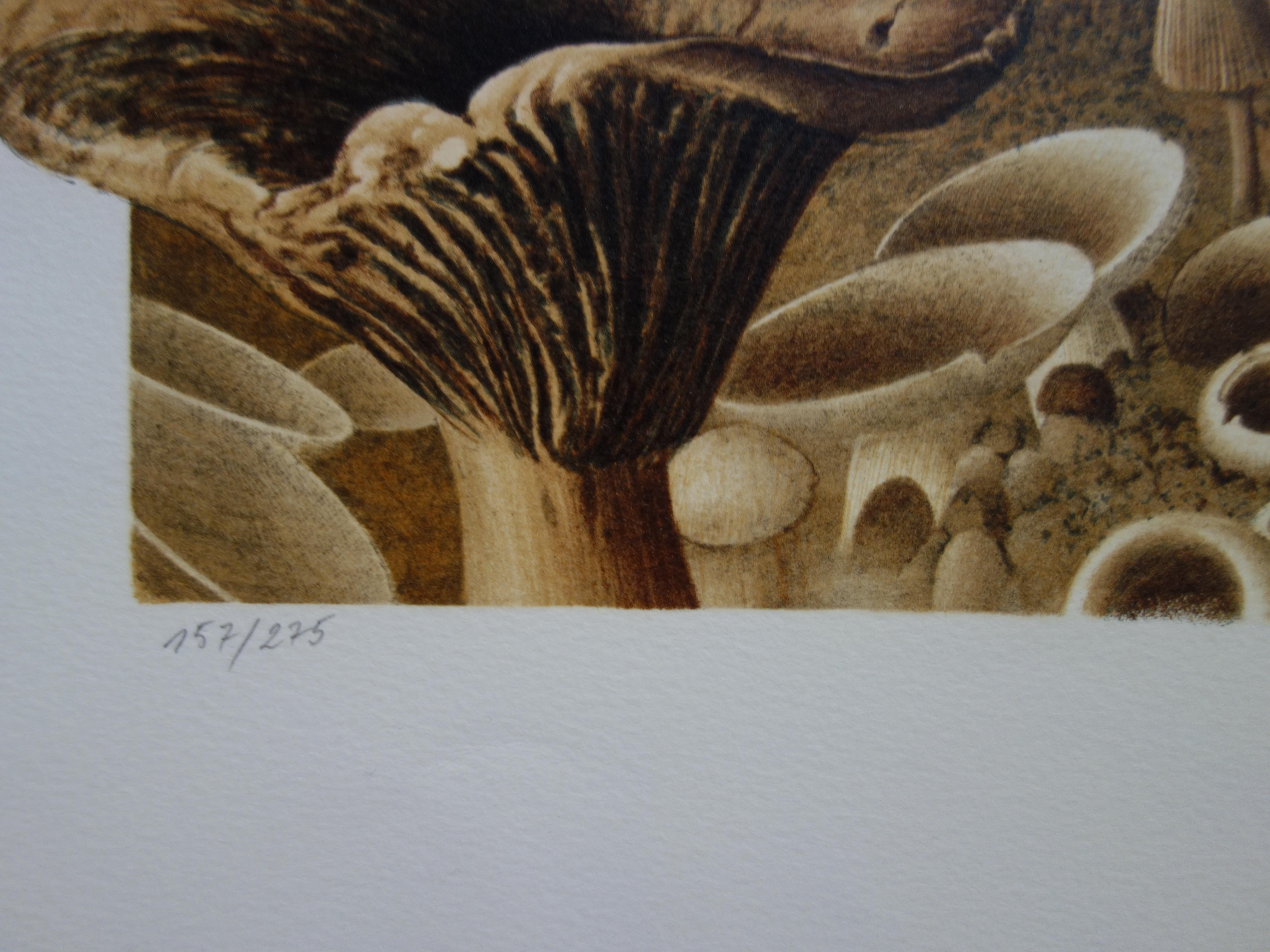 Roland Cat
Bicycles and Mushrooms

Original lithograph
Handsigned in pencil
Limited /275 copies
On vellum 80 x 60 cm (c. 31.49 x 23.62 in)

Excellent condition